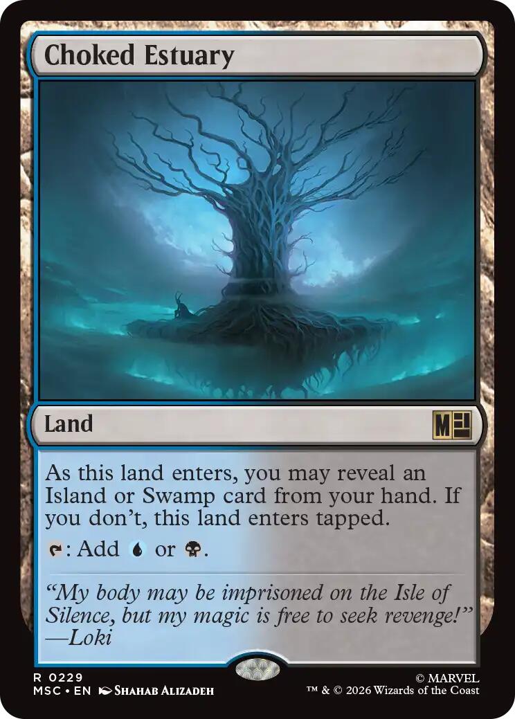 Choked Estuary